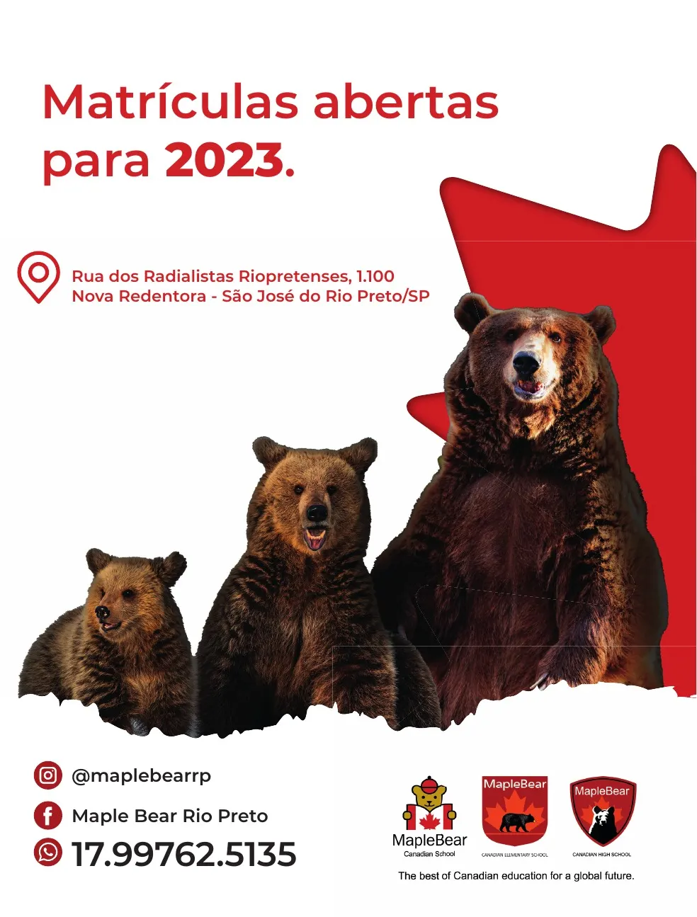 Revista IQS Saúde — Edição 27 — página 86